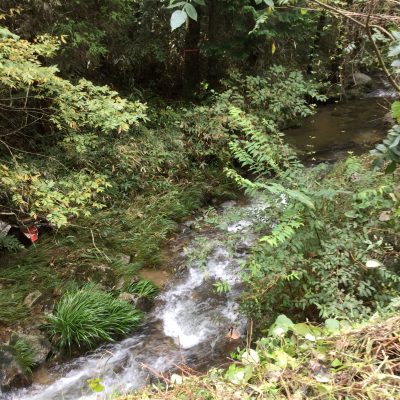 愛知県名古屋市熱田区瑞穂区昭和区中川区のフラスクール岡崎市常滑市西尾市蒲郡市幸田豊明