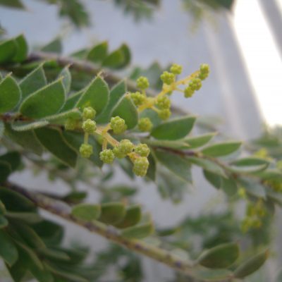 愛知県名古屋市熱田区瑞穂区昭和区中川区のフラスクール岡崎市常滑市西尾市蒲郡市幸田豊明