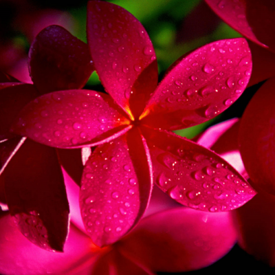 愛知県名古屋市熱田区瑞穂区昭和区中川区