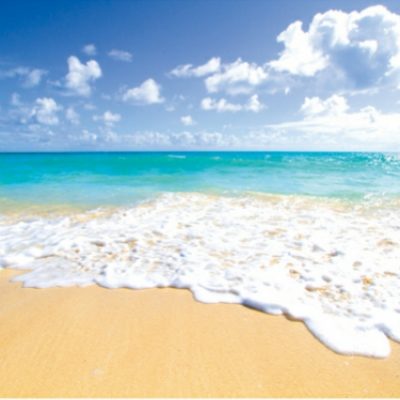 愛知県名古屋市熱田区瑞穂区昭和区中川区