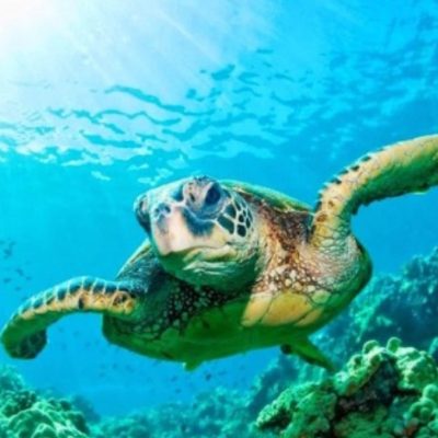 愛知県名古屋市熱田区瑞穂区昭和区中川区