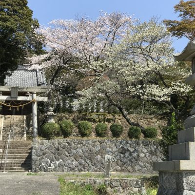 愛知県名古屋市熱田区瑞穂区昭和区中川区のフラスクール岡崎市常滑市西尾市蒲郡市幸田豊明