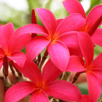 愛知県名古屋市熱田区瑞穂区昭和区中川区