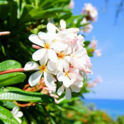 愛知県名古屋市熱田区瑞穂区昭和区中川区