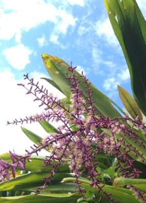 愛知県名古屋市熱田区瑞穂区昭和区中川区のフラスクール岡崎市常滑市西尾市蒲郡市幸田豊明