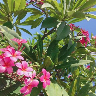 愛知県名古屋市熱田区瑞穂区昭和区中川区