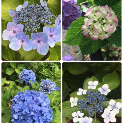 愛知県名古屋市熱田区瑞穂区昭和区中川区のフラスクール岡崎市常滑市西尾市蒲郡市幸田豊明