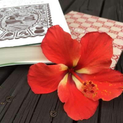 愛知県名古屋市熱田区瑞穂区昭和区中川区のフラスクール岡崎市常滑市西尾市蒲郡市幸田豊明