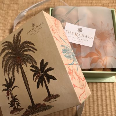 愛知県名古屋市熱田区瑞穂区昭和区中川区のフラスクール岡崎市常滑市西尾市蒲郡市幸田豊明