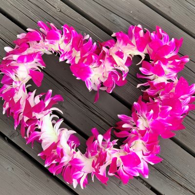 愛知県名古屋市熱田区瑞穂区昭和区中川区のフラスクール岡崎市常滑市西尾市蒲郡市幸田豊明