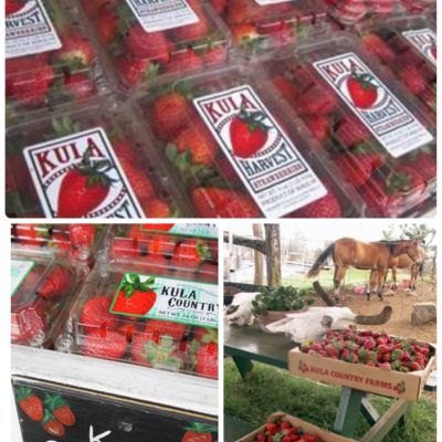 愛知県名古屋市熱田区瑞穂区昭和区中川区