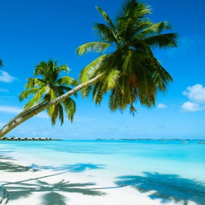 愛知県名古屋市熱田区瑞穂区昭和区中川区