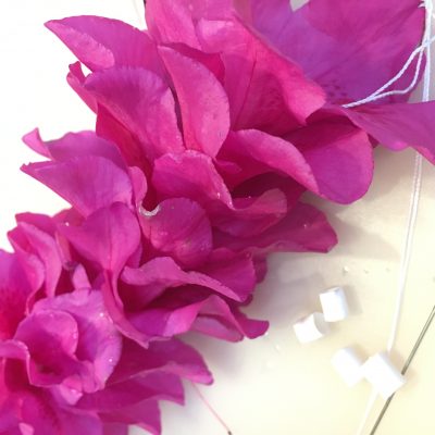 愛知県名古屋市熱田区瑞穂区昭和区中川区