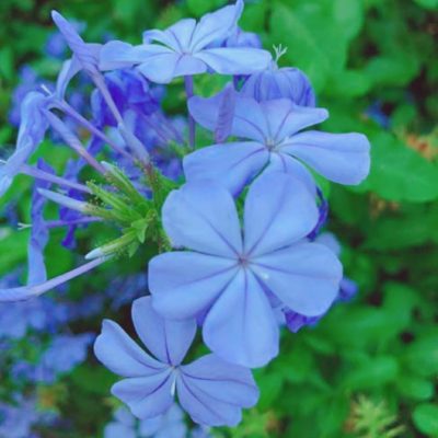 愛知県名古屋市熱田区瑞穂区昭和区中川区