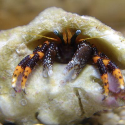 愛知県名古屋市熱田区瑞穂区昭和区中川区のフラスクール岡崎市常滑市西尾市蒲郡市幸田豊明