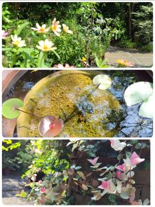 愛知県名古屋市熱田区瑞穂区昭和区中川区のフラスクール岡崎市常滑市