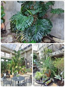 愛知県名古屋市熱田区瑞穂区昭和区中川区のフラスクール岡崎市常滑市