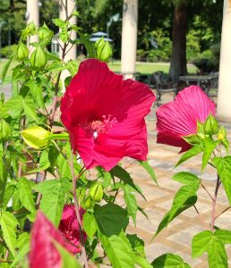 愛知県名古屋市熱田区瑞穂区昭和区中川区のフラスクール岡崎市常滑市