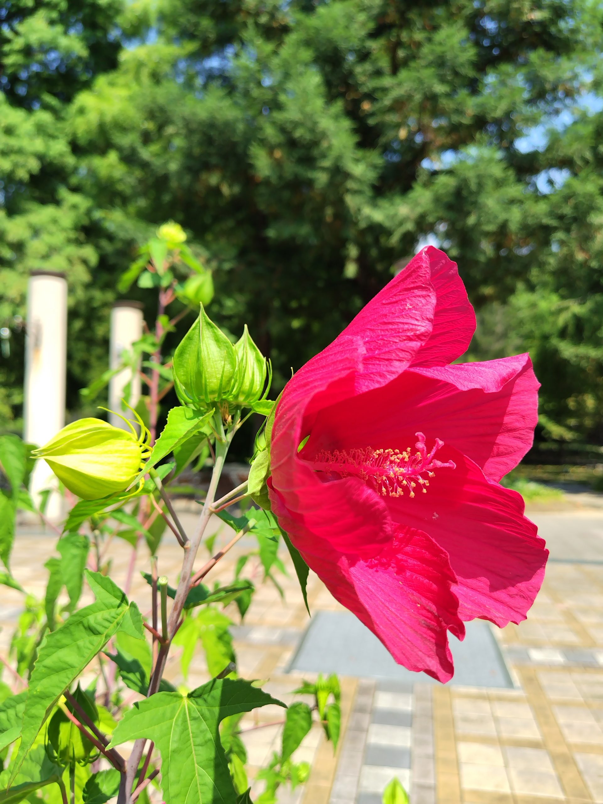 愛知県名古屋市熱田区瑞穂区昭和区中川区のフラスクール岡崎市常滑市