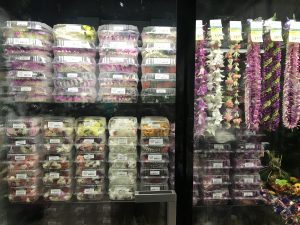 愛知県名古屋市熱田区瑞穂区昭和区中川区のフラスクール岡崎市常滑市