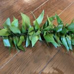 愛知県名古屋市熱田区瑞穂区昭和区中川区のフラスクール岡崎市常滑市