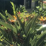 愛知県名古屋市熱田区瑞穂区昭和区中川区のフラスクール岡崎市常滑市