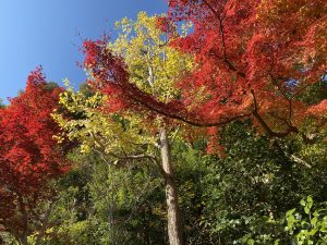 愛知県名古屋市熱田区瑞穂区昭和区中川区のフラスクール岡崎市常滑市