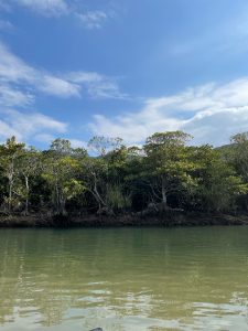 愛知県名古屋市熱田区瑞穂区昭和区中川区のフラスクール岡崎市常滑市
