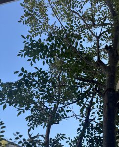 愛知県名古屋市熱田区瑞穂区昭和区中川区のフラスクール岡崎市常滑市