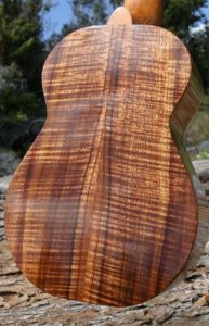 愛知県名古屋市熱田区瑞穂区昭和区中川区のフラスクール岡崎市常滑市