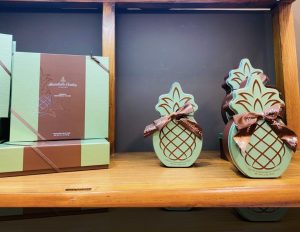 愛知県名古屋市熱田区瑞穂区昭和区中川区のフラスクール岡崎市常滑市