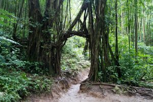 愛知県名古屋市熱田区瑞穂区昭和区中川区のフラスクール岡崎市常滑市西尾市蒲郡市幸田豊明