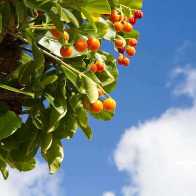 愛知県名古屋市熱田区瑞穂区昭和区中川区のフラスクール岡崎市常滑市