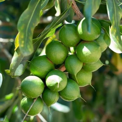 愛知県名古屋市熱田区瑞穂区昭和区中川区のフラスクール岡崎市常滑市