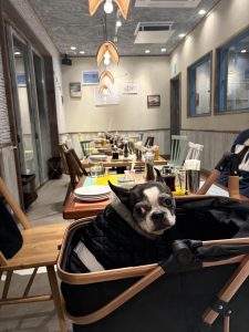 愛知県名古屋市熱田区瑞穂区昭和区中川区のフラスクール岡崎市常滑市西尾市蒲郡市幸田豊明