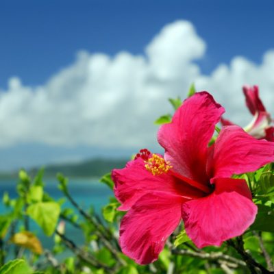 愛知県名古屋市熱田区瑞穂区昭和区中川区のフラスクール岡崎市常滑市西尾市蒲郡市幸田豊明