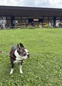 愛知県名古屋市熱田区瑞穂区昭和区中川区のフラスクール岡崎市常滑市西尾市蒲郡市幸田豊明美濃加茂