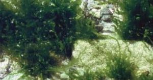 愛知県名古屋市熱田区瑞穂区昭和区中川区のフラスクール岡崎市常滑市西尾市蒲郡市幸田豊明美濃加茂